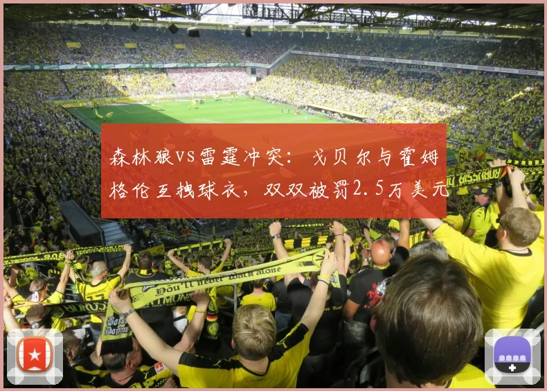 森林狼vs雷霆冲突：戈贝尔与霍姆格伦互拽球衣，双双被罚2.5万美元